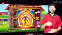 The Big Dog House - Bestfyplay