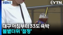 대구 아침부터 33도 육박...불볕더위 '절정' / YTN