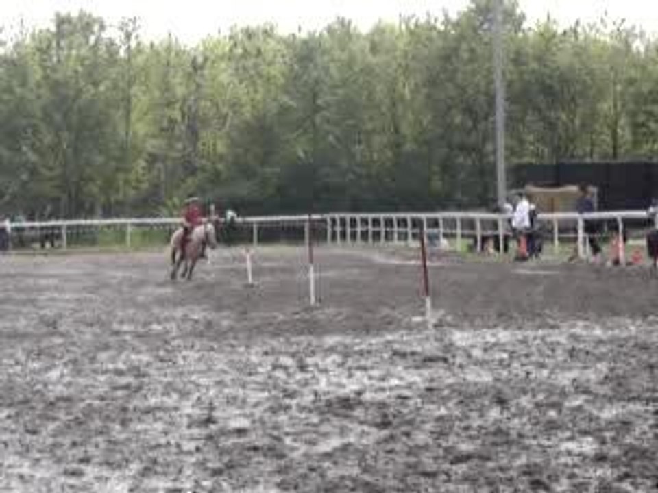 Pony games