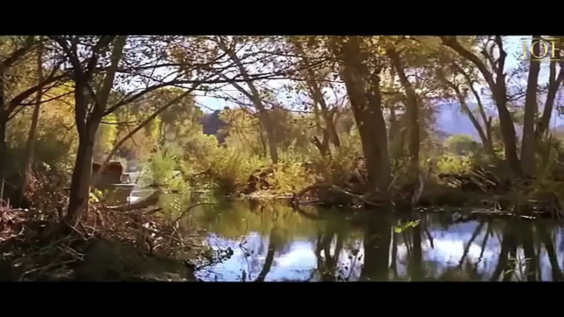 ⁣Jungle movie full Hindi dubbed [Full Movie] [Recommended]Full EP - Full