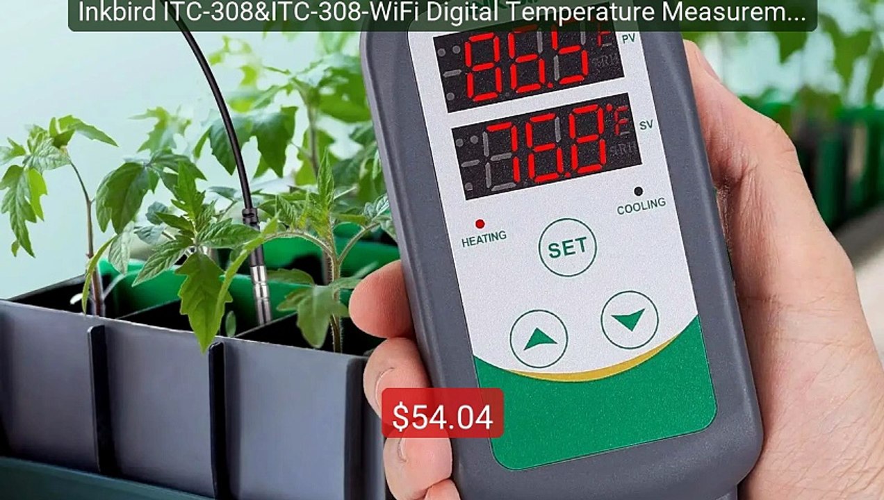 Inkbird ITC-308&ITC-308-WiFi Digital Temperature Measurement ... -- Amazing Value 2026 | Must Have!