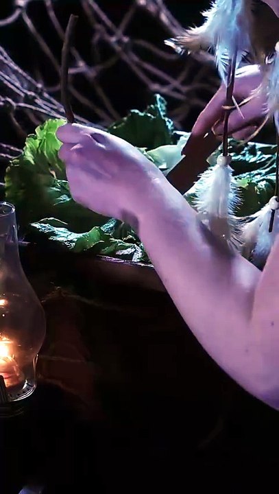 Taste of the Wild - Full