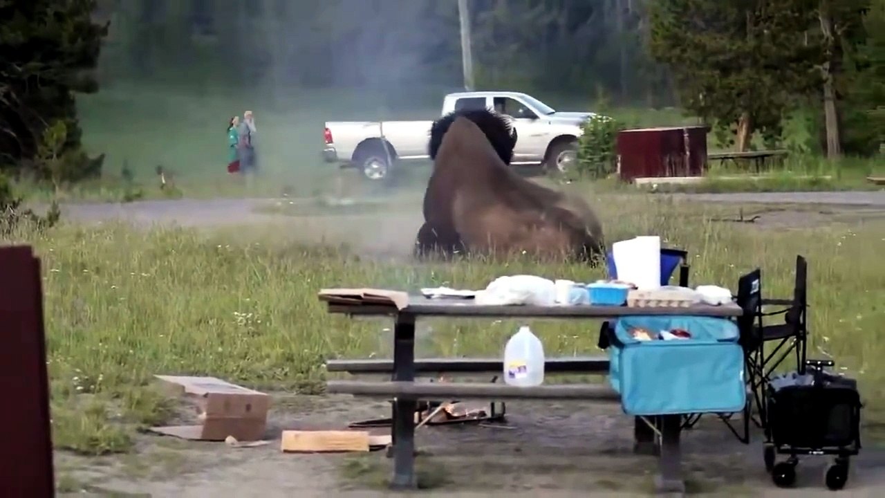A monster animal big #animal