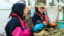 Countryfile S38E28 Anita Ranis Road Trip Mersea Island