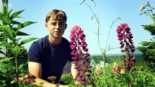 Gardeners' World Season 59 Episode 17