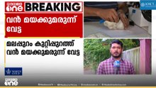 കുറ്റിപ്പുറത്ത് വൻ മയക്കുമരുന്ന് വേട്ട: അരക്കിലോ MDMAയും ഹൈബ്രിഡ് കഞ്ചാവുമായി യുവാവ് പിടിയിൽ