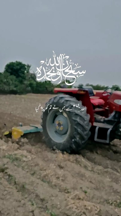 Allah Hi Tu Hai...| Quran |#Allah #wahied #quran #shorts