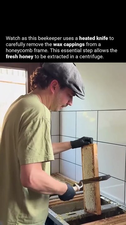 Honeycomb Uncapping 🍯 Satisfying Process