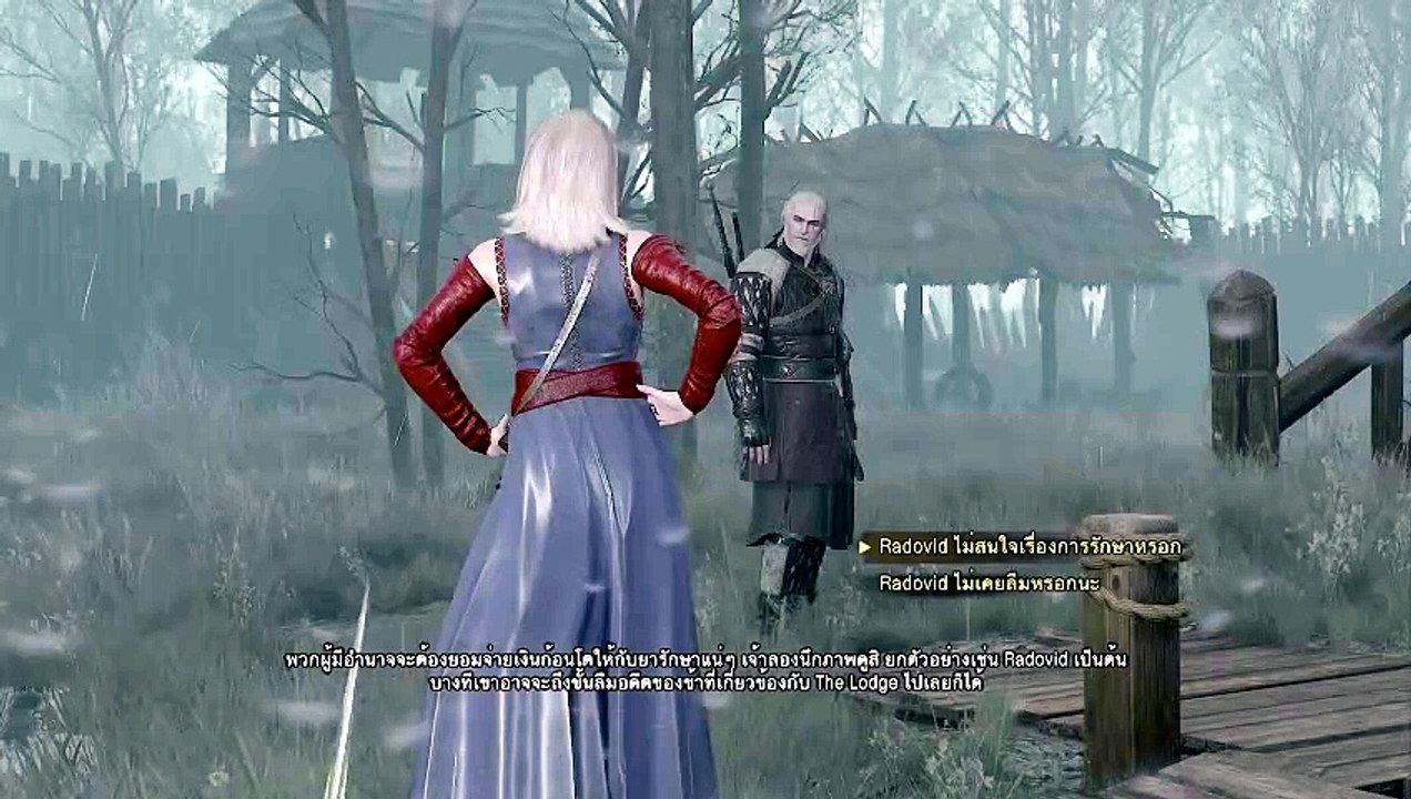 THE WITCHER 3 GAMEPLAY PART 28
