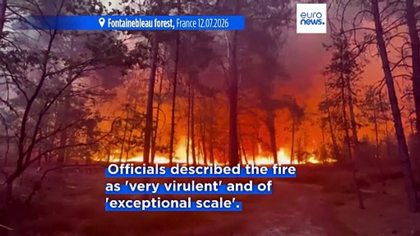 Residents evacuated as fire of 'exceptional scale' rages in Fontainebleau forest south of Paris