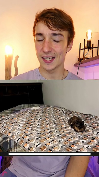 2eme chat