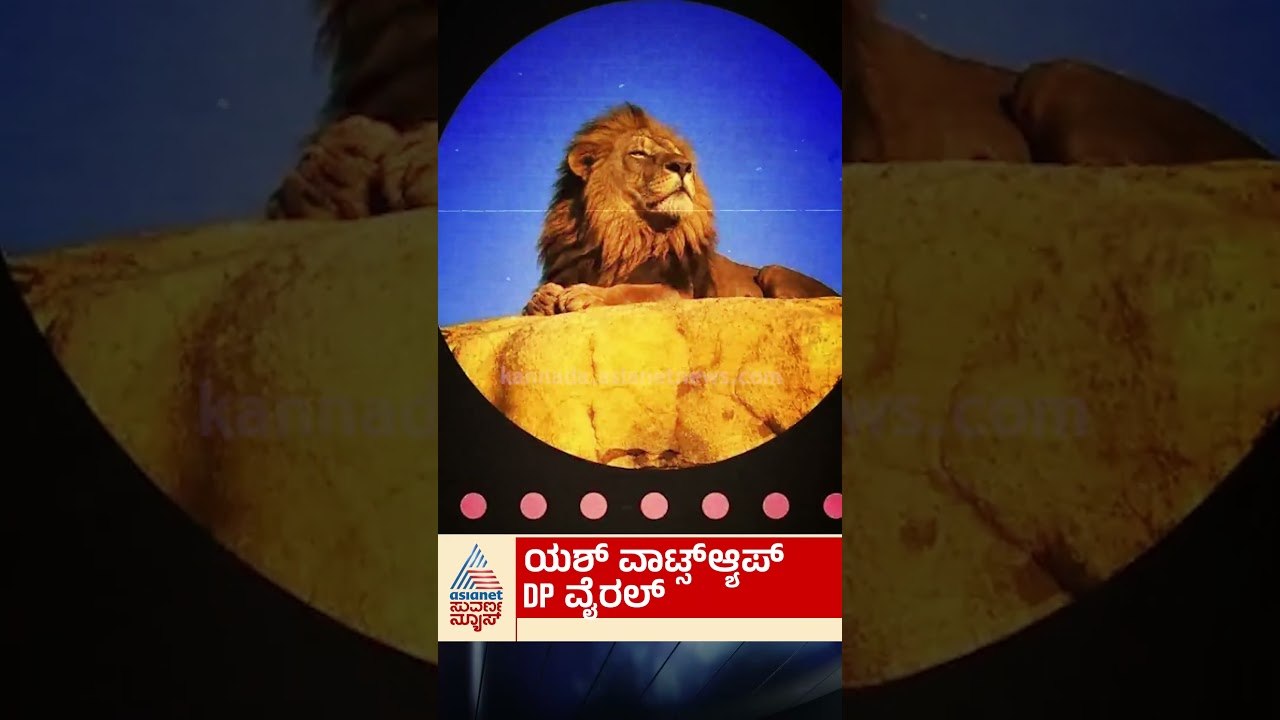 Yash ವಾಟ್ಸ್‌ಆ್ಯಪ್ DP ವೈರಲ್ #yash   #toxicmovie   #rockingstaryashfans  #toxic  #sandalwood