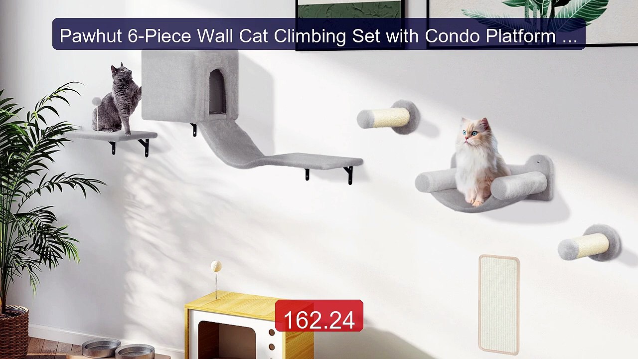 Pawhut 6-Piece Wall Cat Climbing Set with Condo Platform Hammock La... -- Top Rated 2026 | Buy Now!
