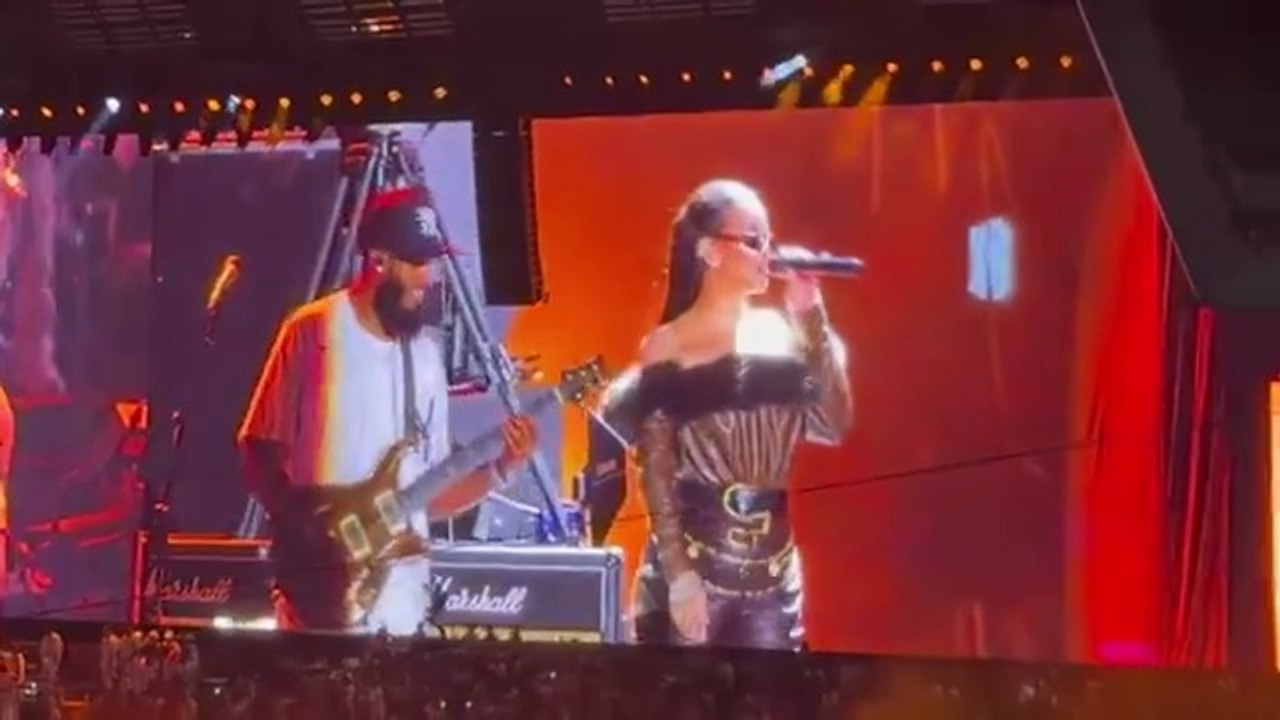 Rihanna fait une apparition surprise avec Jay-Z au Yankee Stadium.