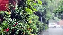 Monsoon :: July 2026 ::