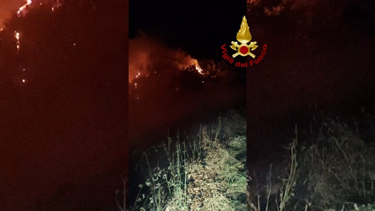 Fiamme nei boschi del Mugello, l'intervento dei Vigili del fuoco