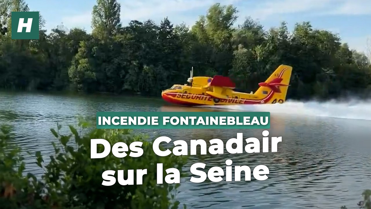 Fontainebleau : l’incendie « exceptionnel » mobilise des Canadair, le point sur la situation