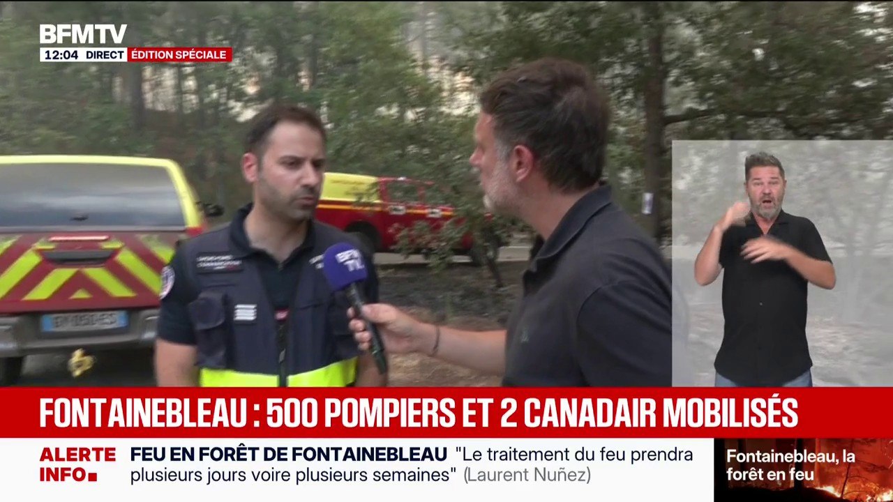 Incendie de Fontainebleau: le traitement du feu rendu "difficile" par le vent, alors que les fumées se déportent vers le Loiret