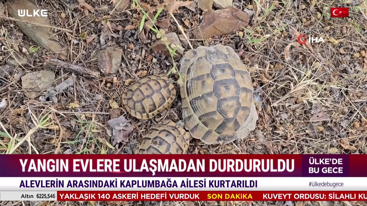 Ülke'de Hafta Sonu - 12 Temmuz 2026