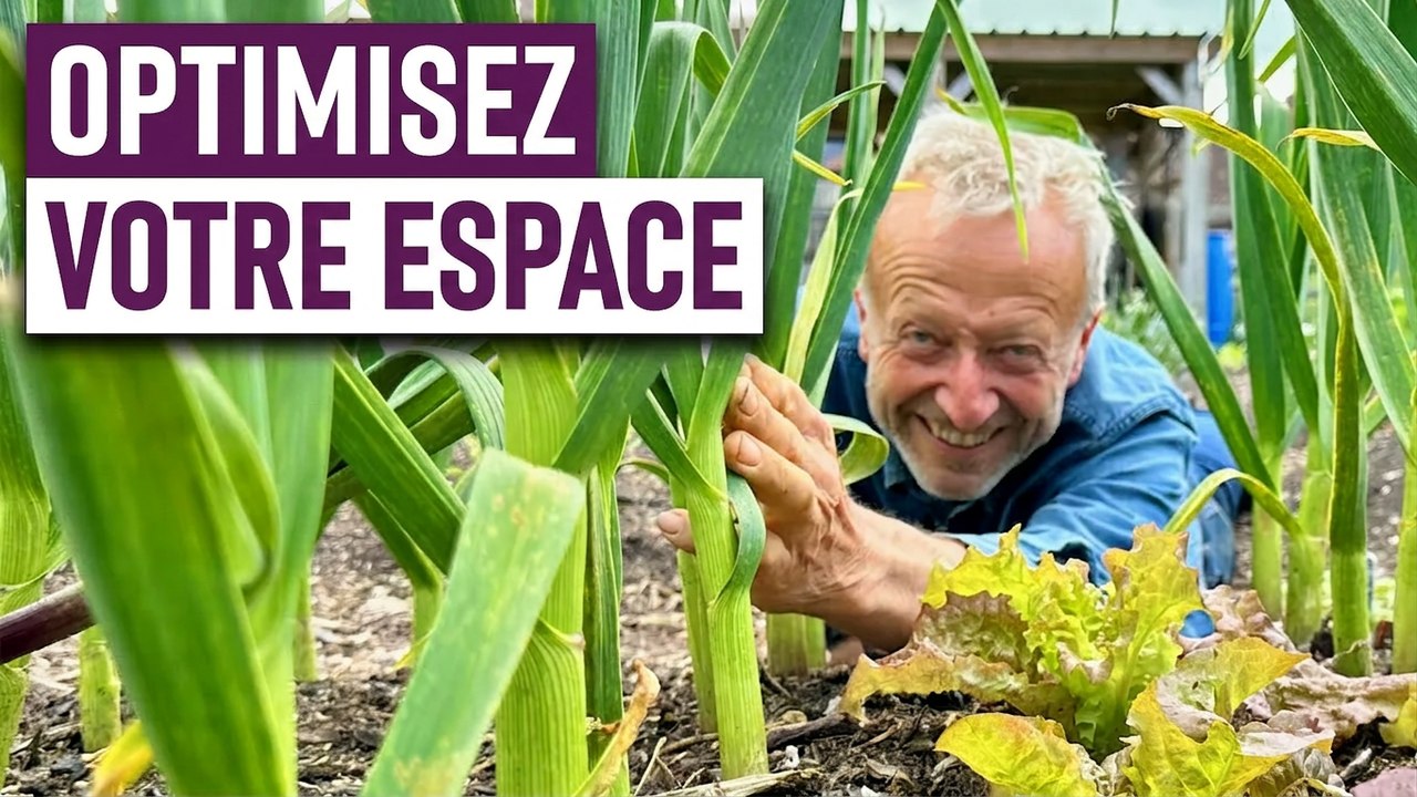 Espacer efficacement ses plantations avec Charles Dowding