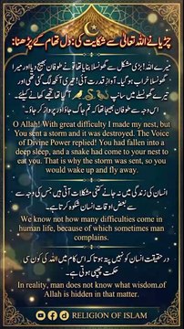 *چڑیا نے اللّٰہ تعالیٰ سے شکایت کی: دل تھام کے پڑھنا | A Bird Complained To Allah | Heart Touching Story | Islamic Short | Religion Of Islam Channel*