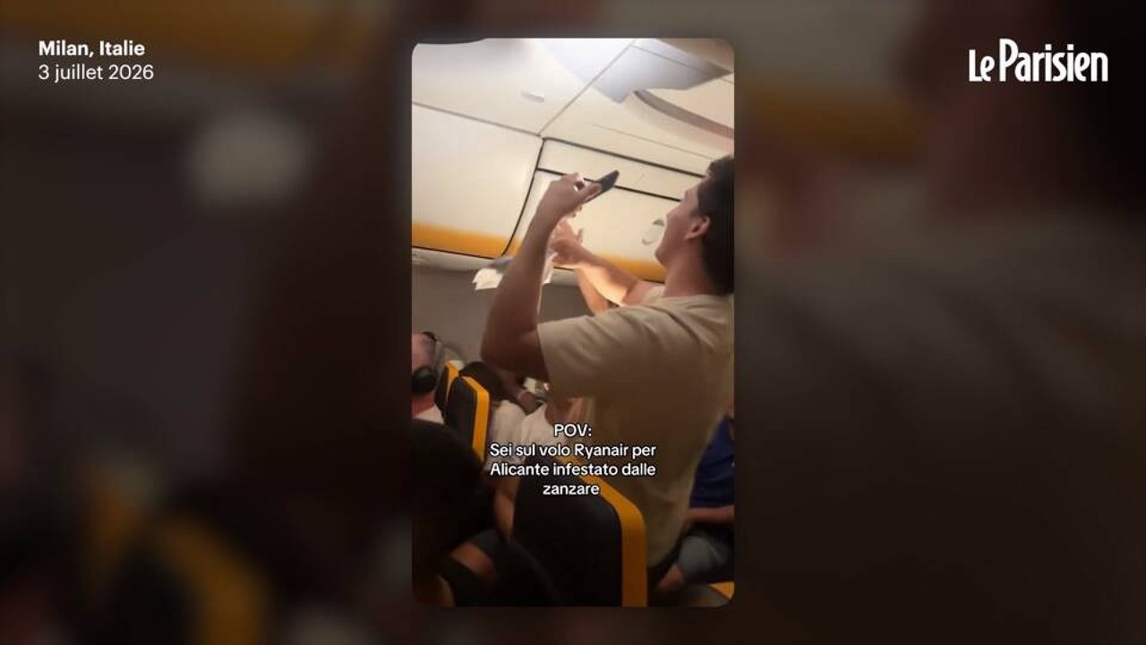 Un vol Ryanair retardé après une invasion de moustiques