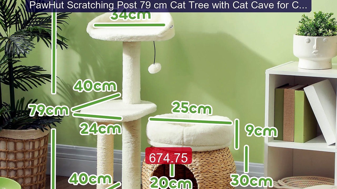 PawHut Scratching Post 79 cm Cat Tree with Cat Cave for Cats u... -- Best Buy 2026 | Great Quality!