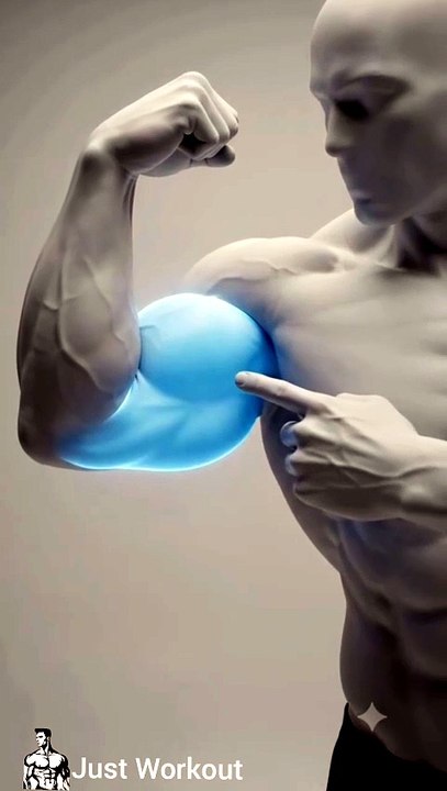 Solid nd Bigger biceps workout