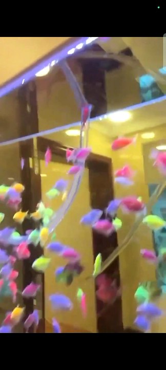 (Viral/Clickbait): Sending a fish through the longest tube ever! 😱🐠