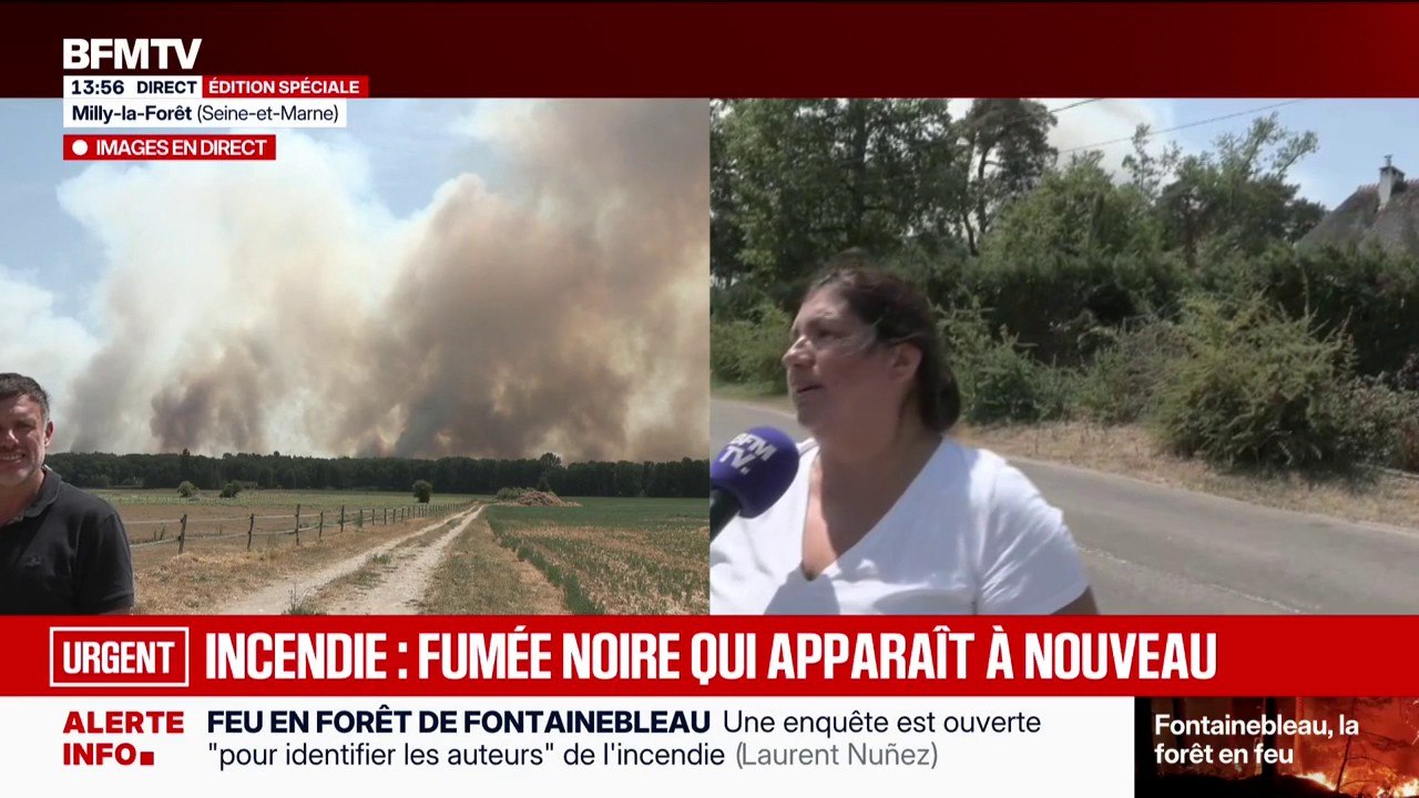 Incendie de la forêt de Fontainebleau: "J'ai préparé une valise ou deux, s'il faut partir, c'est prêt", affirme une habitante proche de la forêt