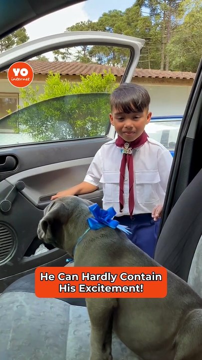 Emotional Moment: Child's Heartfelt Reaction to First Puppy Gift