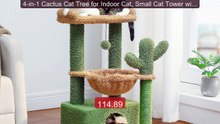4-in-1 Cactus Cat Tree for Indoor Cat, Small Cat Tower with Large ... -- Best Deal 2026 | Shop Now!