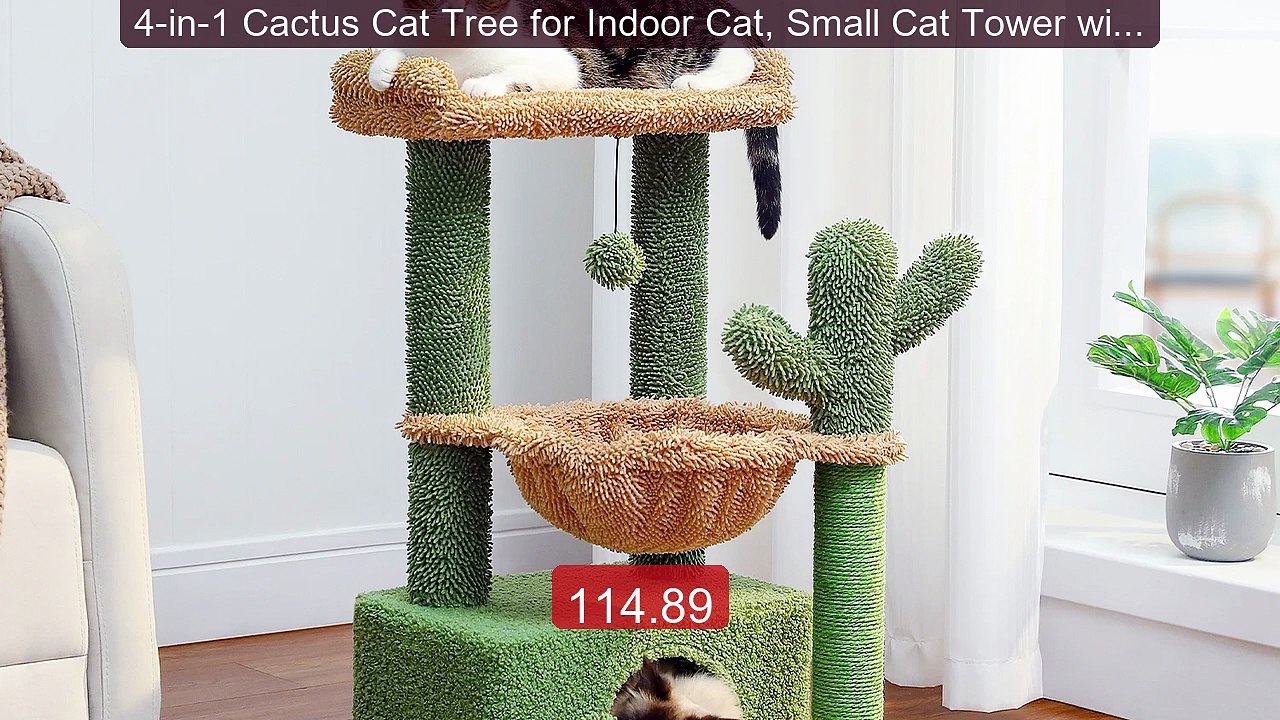 4-in-1 Cactus Cat Tree for Indoor Cat, Small Cat Tower with Large ... -- Best Deal 2026 | Shop Now!