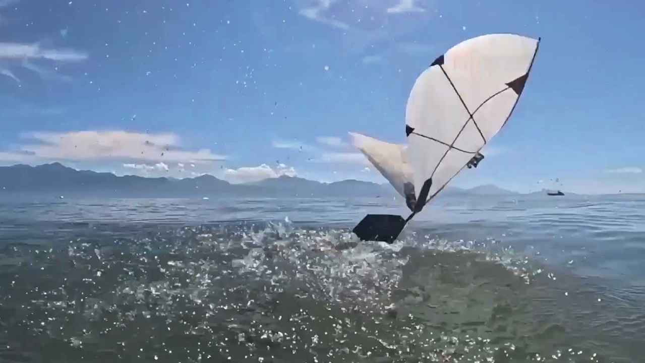 Cada vez más cerca del pez volador: un robot anfibio nada bajo el agua y despega como un ave marina