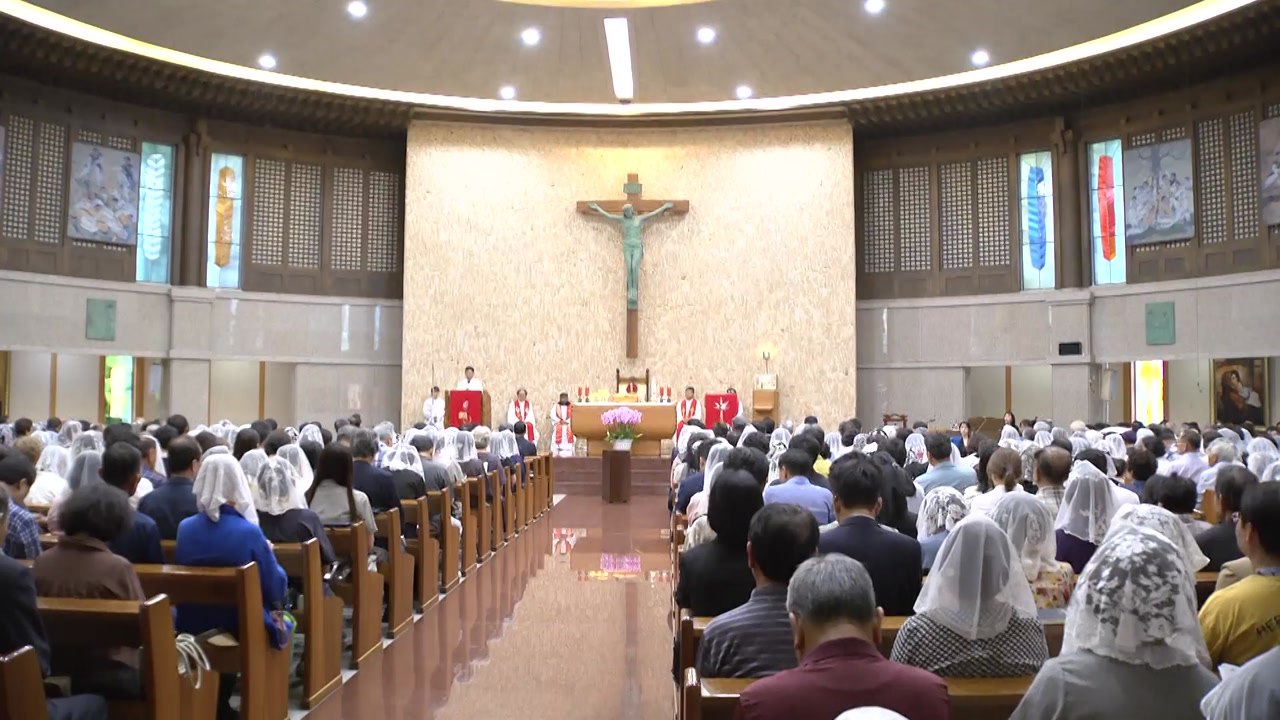 박수현 충남지사, 유흥식 추기경 미사 참석..."내년 교황 방문 요청" / YTN