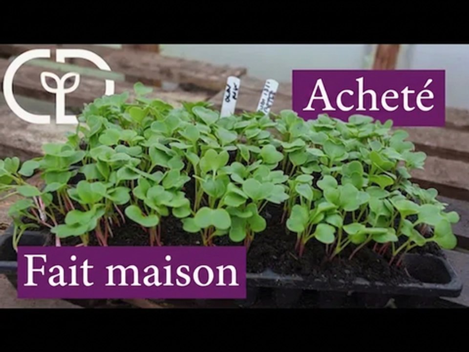 Fabriquez votre propre terreau maison facilement