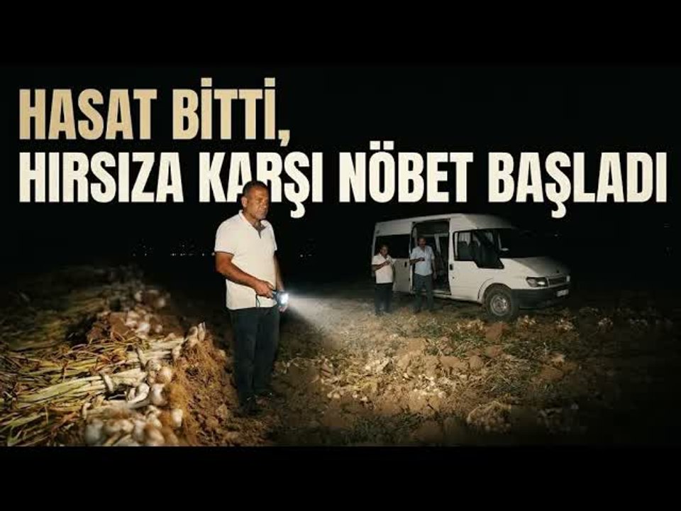Taşköprü Sarımsağı İçin Hırsızlara Karşı Gece Nöbeti