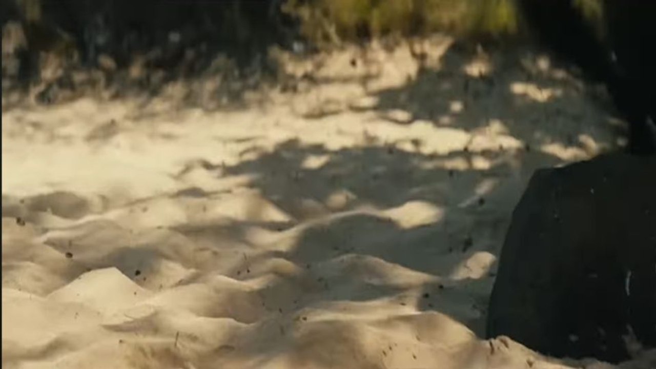 Um Paraíso Perigoso Trailer Legendado