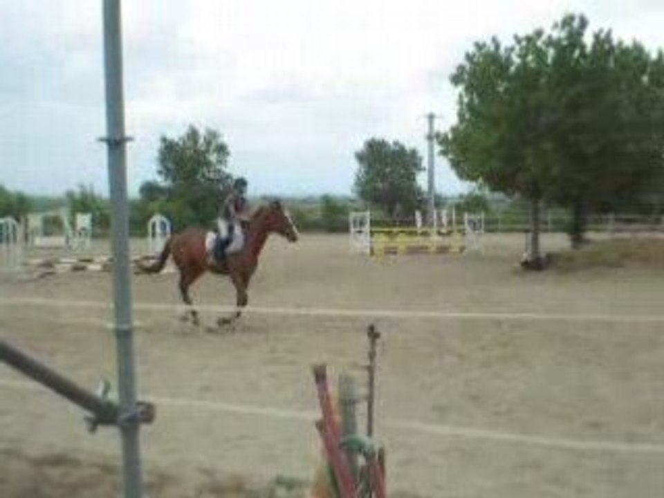 DSCN1533