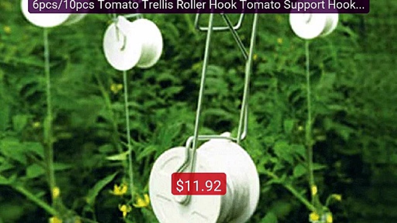 6pcs/10pcs Tomato Trellis Roller Hook Tomato Support Hooks Set... -- Best Buy 2026 | Great Quality!
