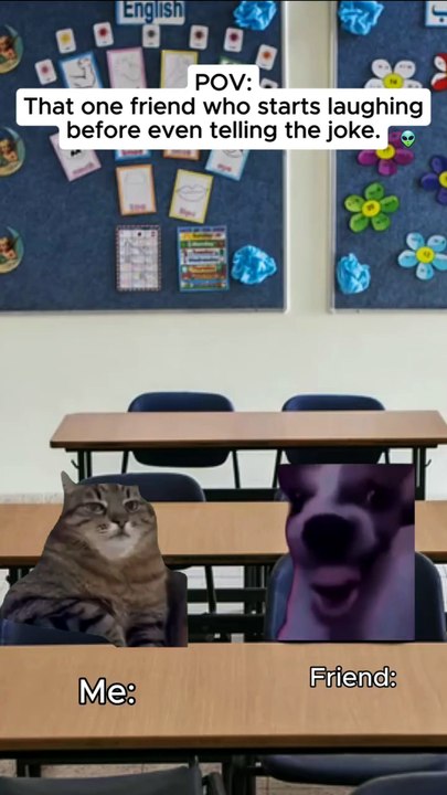 Try Not To Laugh! Funniest Cats of 2026 That Wi...
