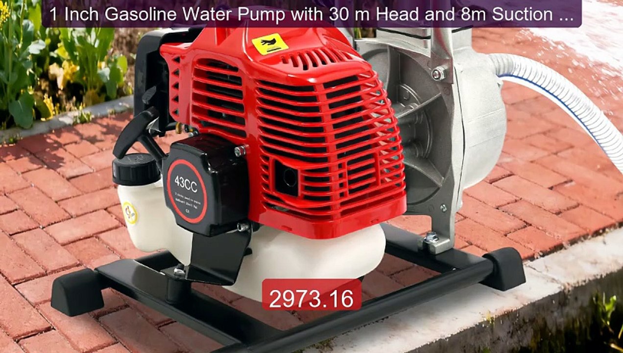 1 Inch Gasoline Water Pump with 30 m Head and 8m Suction Head... -- Amazing Value 2026 | Must Have!