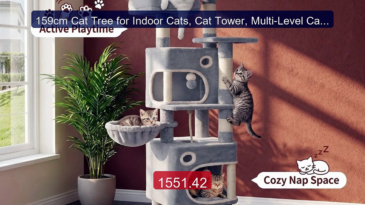 159cm Cat Tree for Indoor Cats, Cat Tower, Multi-Level Cats C... -- Amazing Value 2026 | Must Have!