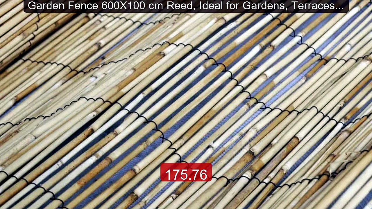 Garden Fence 600X100 cm Reed, Ideal for Gardens, Terraces a... -- Top Pick 2026 | Unbeatable Price!