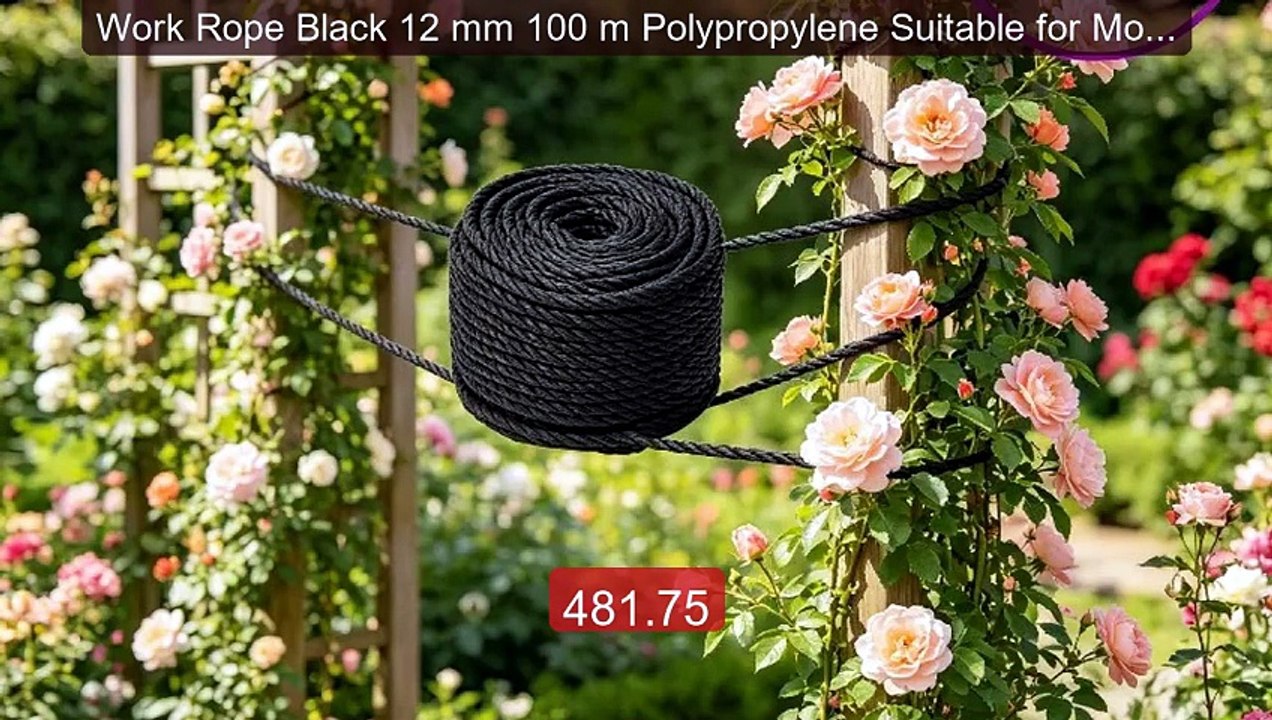 Work Rope Black 12 mm 100 m Polypropylene Suitable for Modern ... -- Hot Deal 2026 | Limited Offer!