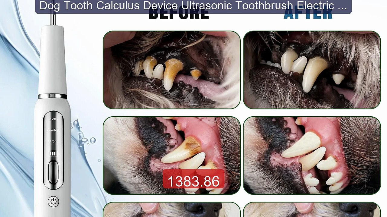 Dog Tooth Calculus Device Ultrasonic Toothbrush Electric Pet T... -- Best Buy 2026 | Great Quality!
