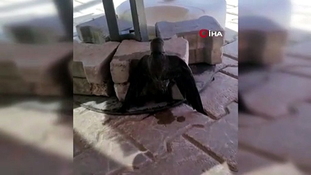 Bir Yudum Suyla Hayata Tutundu