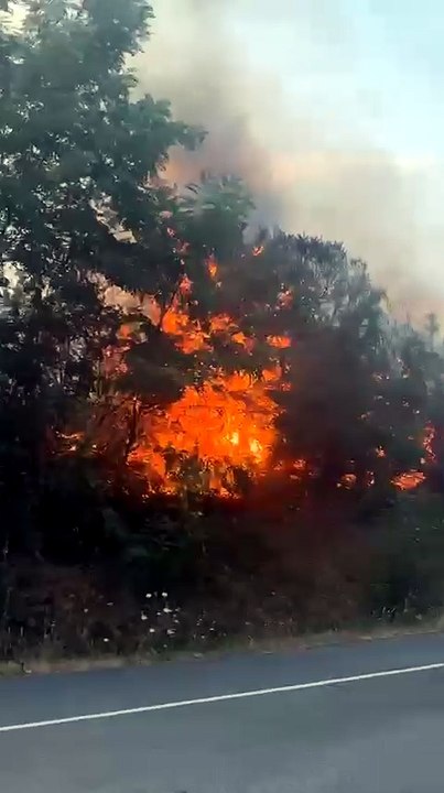 Incendie en cours à Lombron (Sarthe) route des Gaslandes