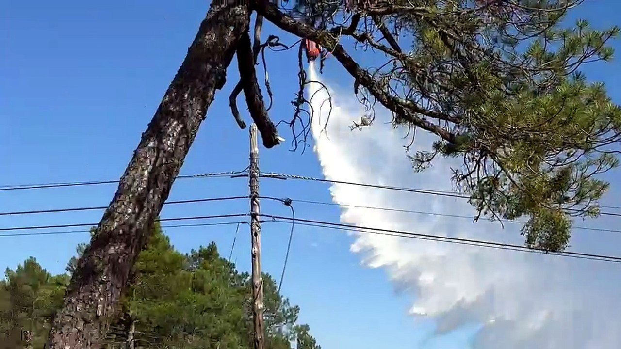 Incendio Las Navas del Marqués