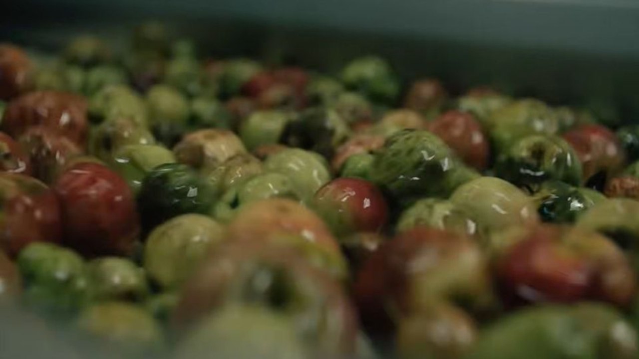 Bad Apples Trailer Original